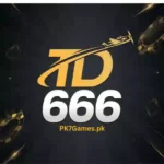 DT666 Game